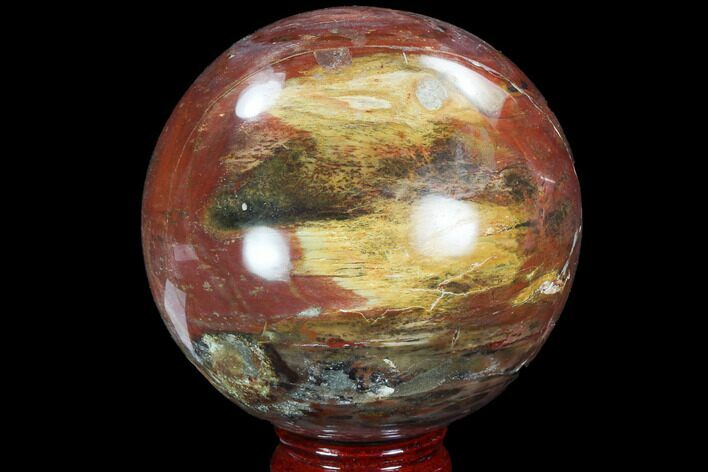 Bargain, Colorful, Petrified Wood Sphere - Madagascar #98459